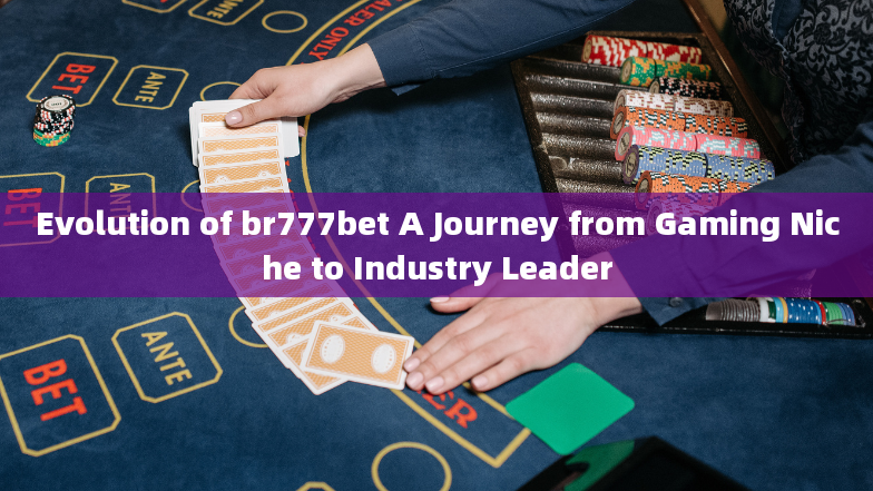 Evolution of br777bet A Journey from Gaming Niche to Industry Leader