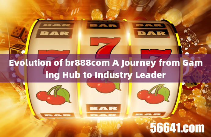 Evolution of br888com A Journey from Gaming Hub to Industry Leader